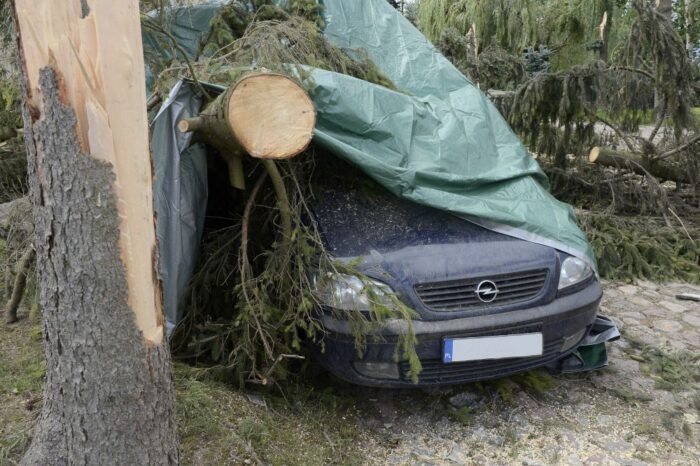 pogoda, susza, powódź, FAO, anomalie pogodowe, ocieplenie klimatu
