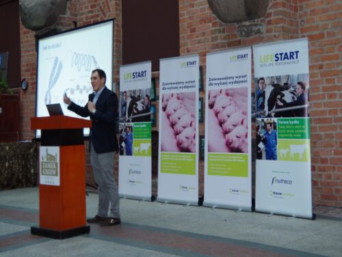 trouw nutrition, life start, cielęta, prosięta
