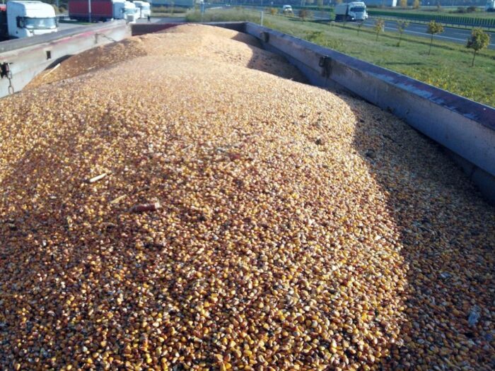 Lubelska Izba Rolnicza, import ziarna z Ukrainy, ceny zbóż, rzepak, kukurydza