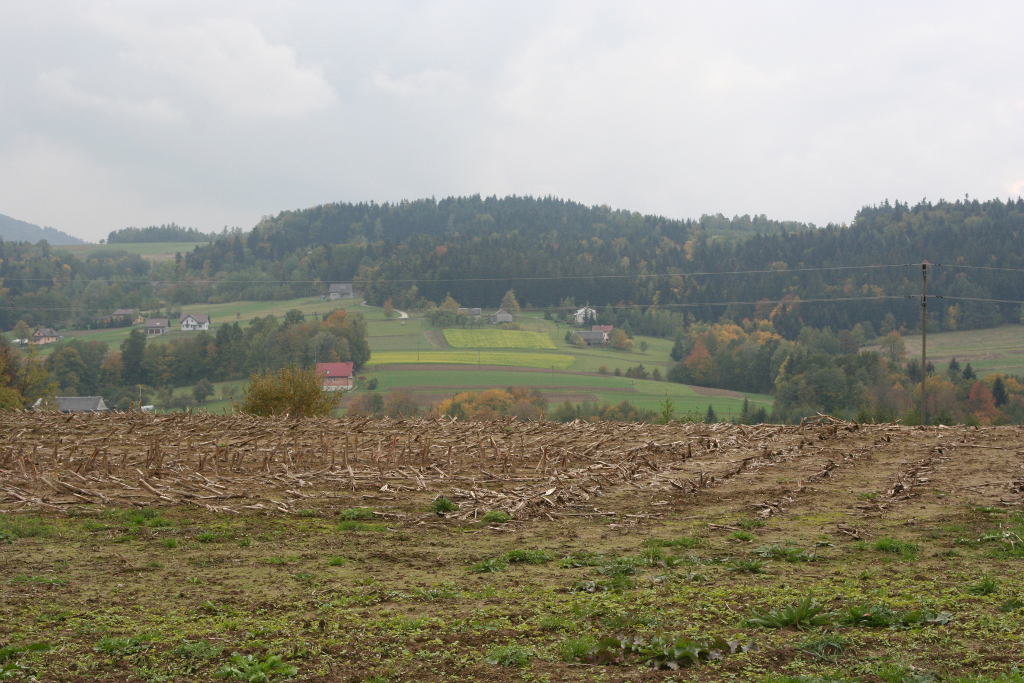 nawożenie, NIK, raport, gleba, uprawa, badanie gleby
