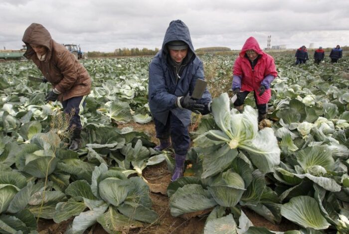 Federalna Służba Nadzoru Weterynaryjnego i Fitosanitarnego, Rossielchoznadzor