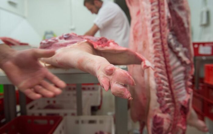 rolniczy związek Coldiretti, włochy, Światowa Organizacja Zdrowia