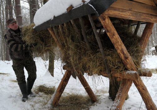 dokarmianie zwierząt, podkarpacie, Edward Marszałek