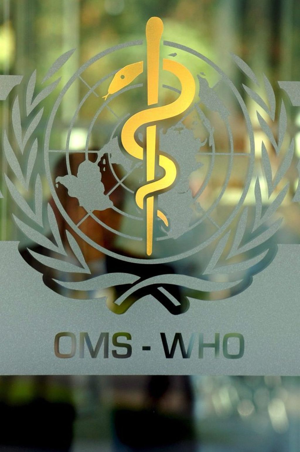 Światowa Organizacja Zdrowia, spożywanie zakażonej żywności, Margaret Chan