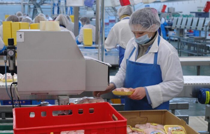 produkcja drobiu, rynek mięsa, komisja europejska