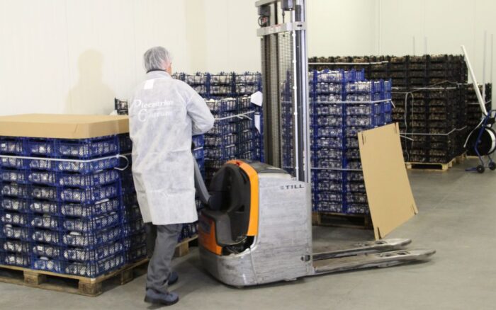 eksport, biznes, firma, szkolenie, Toruń, Kujawsko-Pomorskie Centrum Obsługi Inwestorów i Eksporterów