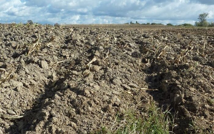 Organizacja Narodów Zjednoczonych do spraw Wyżywienia i Rolnictwa, światowy dzień gleby, Polskie Stowarzyszenie Ochrony