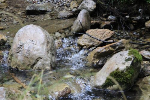 mała retencja, Lasy Państwowe, powódź, woda, potok Hołubelski