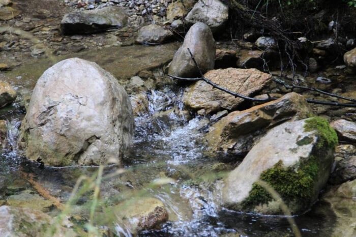 mała retencja, Lasy Państwowe, powódź, woda, potok Hołubelski