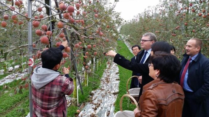 rolnictwo w Korei, wizyta rolników, regiony partnerskie, współpraca rolna