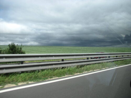 mak, uprawa maku, import maku