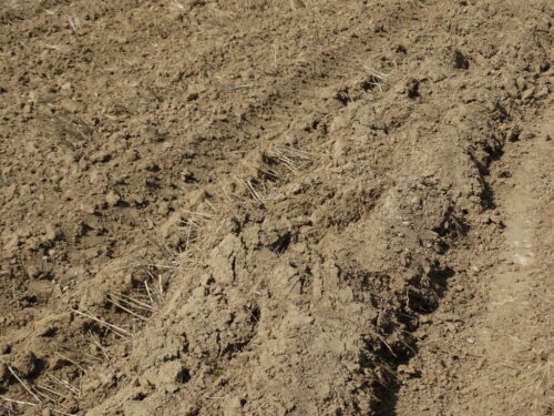 uprawa gleby, bilans wodny