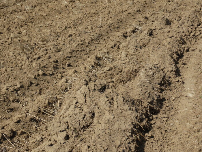 uprawa gleby, bilans wodny