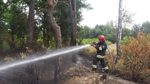 las, pożar, zagrożenie pożarowe, UE, Last Państwowe