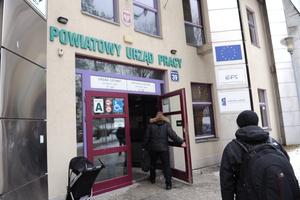 główny urząd statystyczny, robert pękoś, zatrudnienie w sektorze przedsiębiorstw
