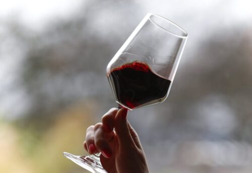 wino