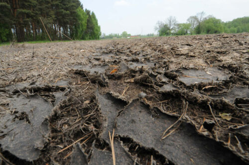 gnojowica, nawozy naturalne, obornik, nawożenie
