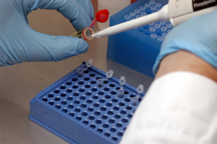 ośrodek badawczo-rozwojowy rolnictwa, Ogród Botaniczny w Kielcach, wojciech lubawski