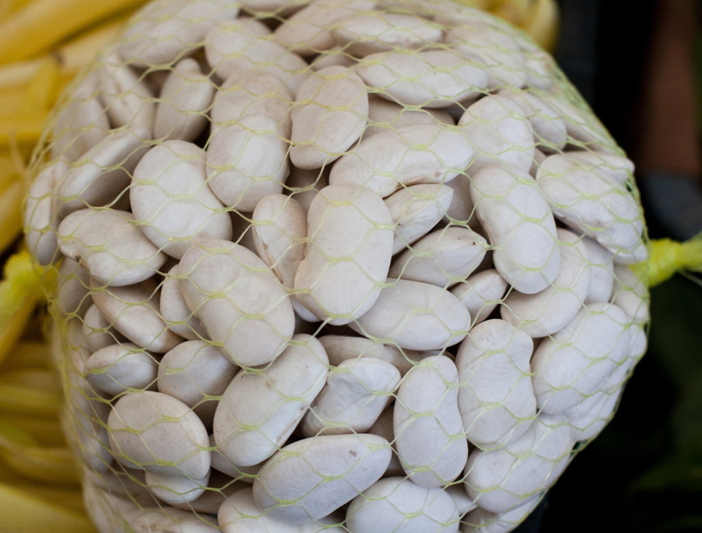 rośliny wysokobiałkowe, wsparcie produkcji