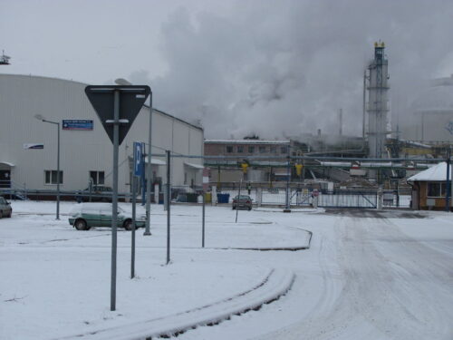 krajowa spółka cukrowa, plantatorzy buraków