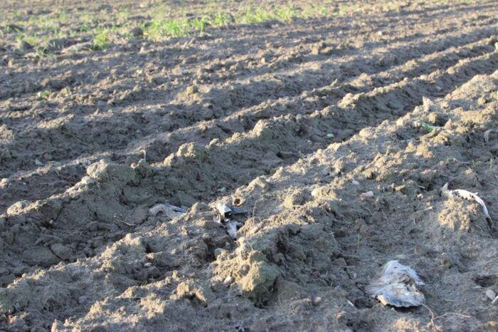 gleba, badanie, NIK, nawozy, Grunt to wiedza, Grupa Azoty, zasobność, Farmster, azot