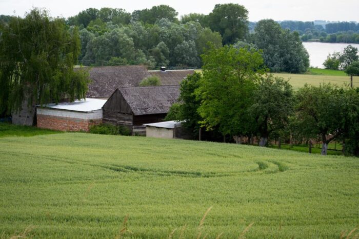 Ubezpieczenie gospodarstwa rolnego, ubezpieczenie OC rolnika, concordia ubezpieczenia