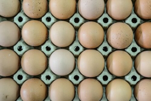 jaja, wolny wybieg, kwasy omega