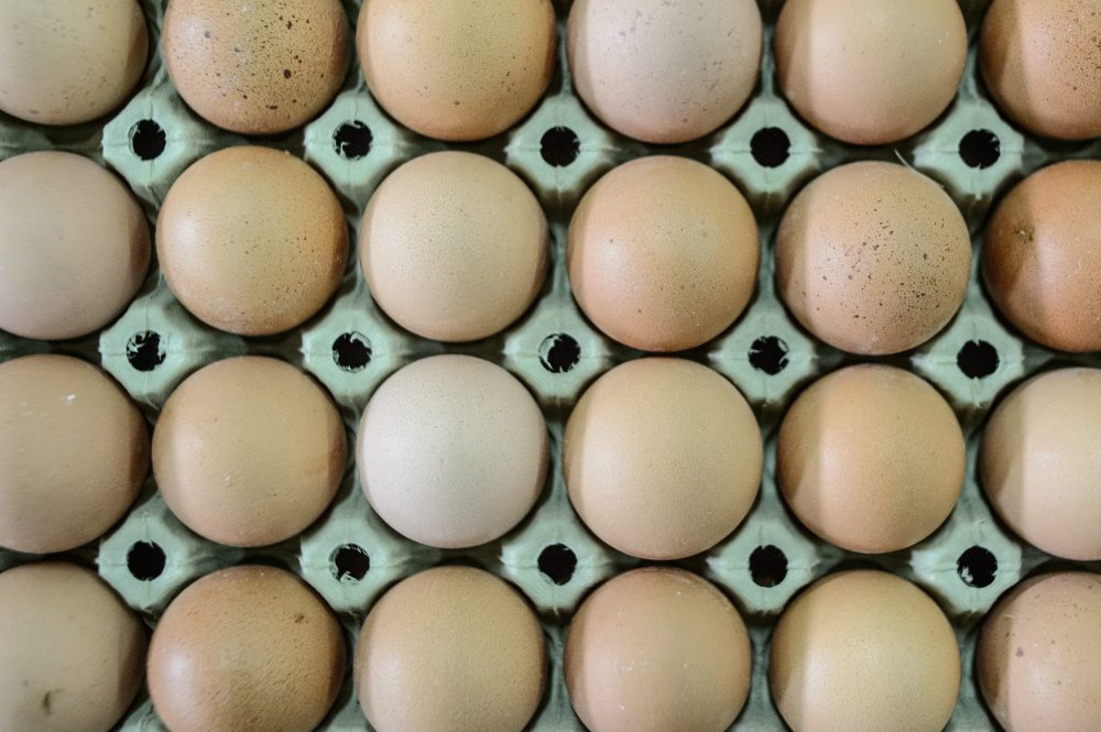 jaja, wolny wybieg, kwasy omega