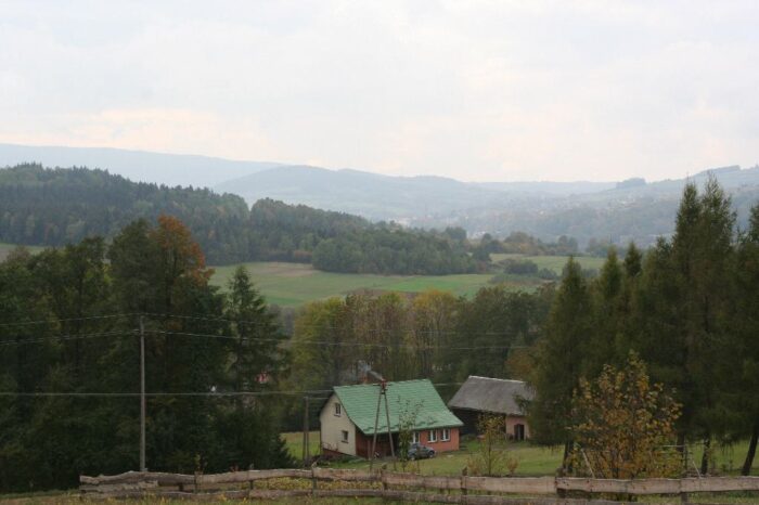 lasy_panstwowe_sprzedaz