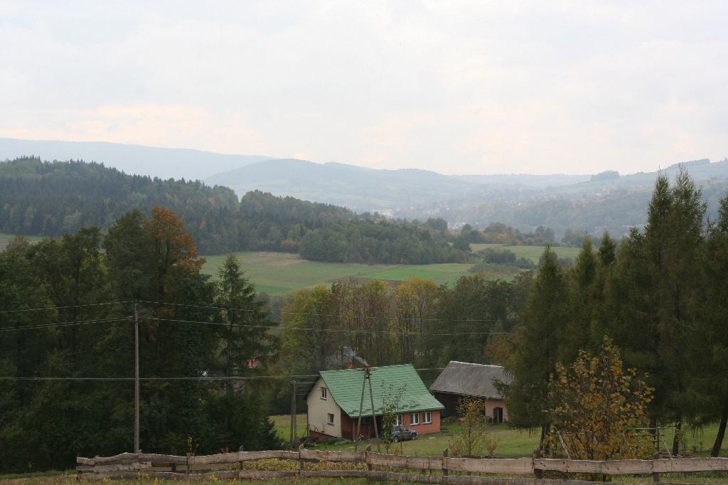 lasy_panstwowe_sprzedaz