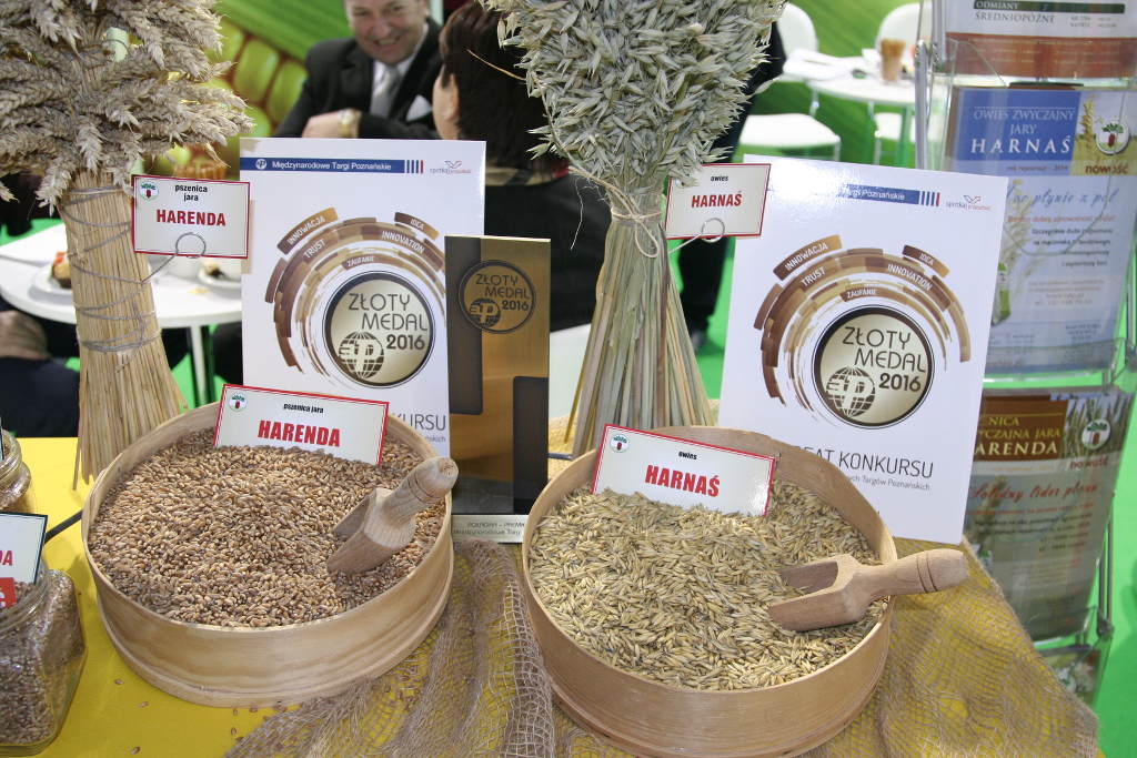 odmiany owsa, pszenica, medale, polagra premiery
