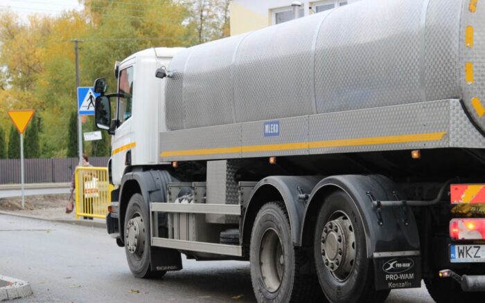 mleko, bydło, krowa, klacz, Olsztyn, naukowcy, mleko klaczy, dieta, alergia