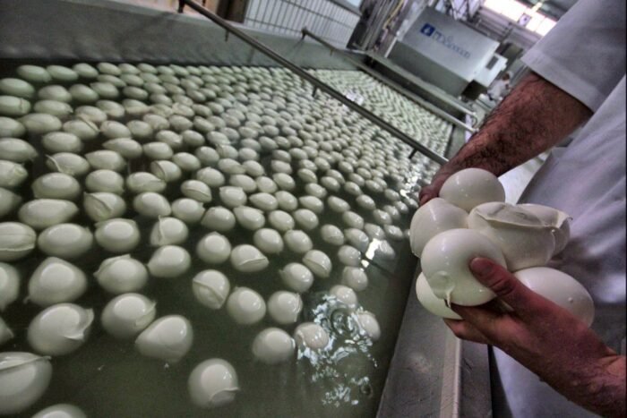 Produkcja mozzarelli, przemysłowy skrzep mleka, włochy, Rolniczy związek Coldiretti