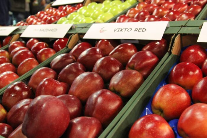 sad, sadownictwo, owoce, FruitPro, Warszawa, targi, BASF, SGGW, MTAS