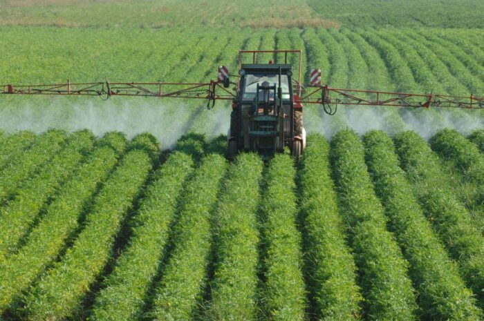 środki ochrony roślin, rynek nasion i nawozów, Michał Ciszak, ProCam Polska