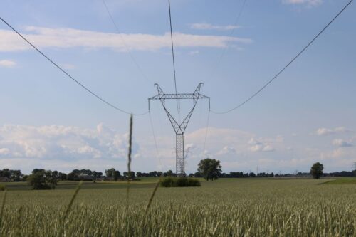 zmiana dostawcyy energii elektrycznej, Kamil Pluskwa-Dąbrowski, Rada Krajowej Federacji Konsumentów