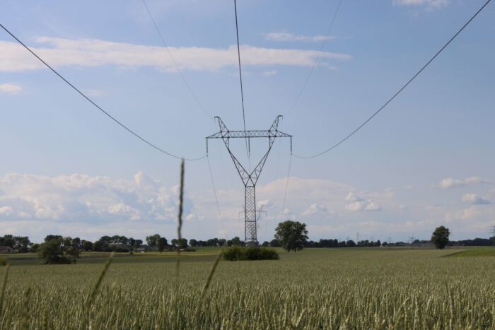 zmiana dostawcyy energii elektrycznej, Kamil Pluskwa-Dąbrowski, Rada Krajowej Federacji Konsumentów