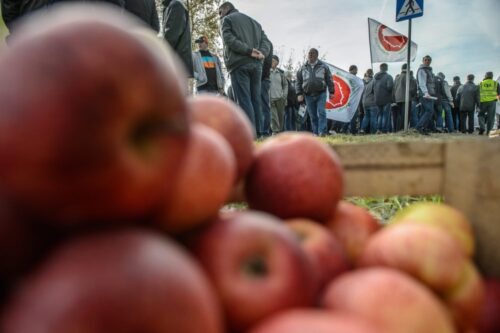 eksport polskiej żywności, rosyjskie embargo, raport Market Monitor