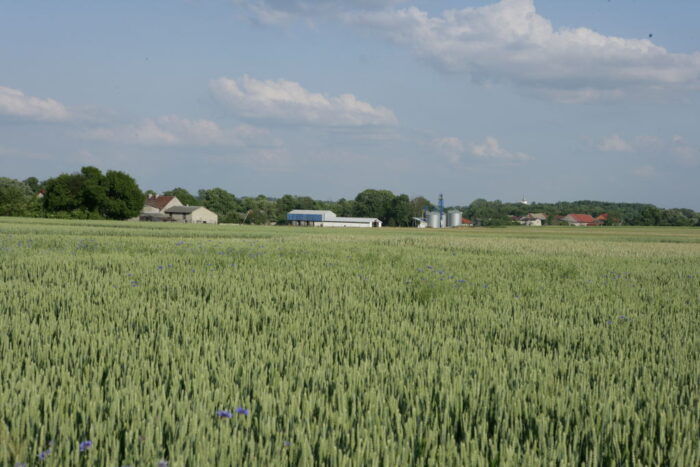 izby rolnicze, samorząd rolniczy