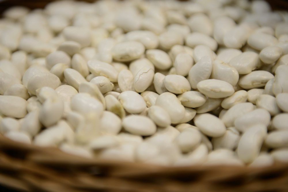 soja, śruta sojowa, import, Argentyna, Sejm, posłowie, rośliny wysokobiałkowe