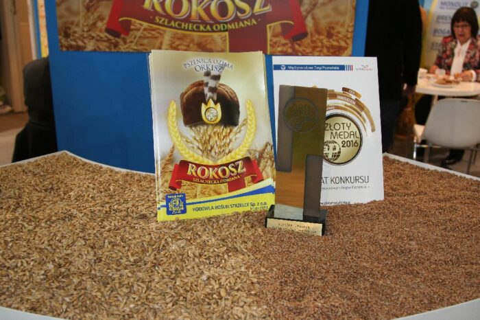 orkisz, pszenica orkiszowa, hr strzelce, medalowa odmiana, polagra premiery
