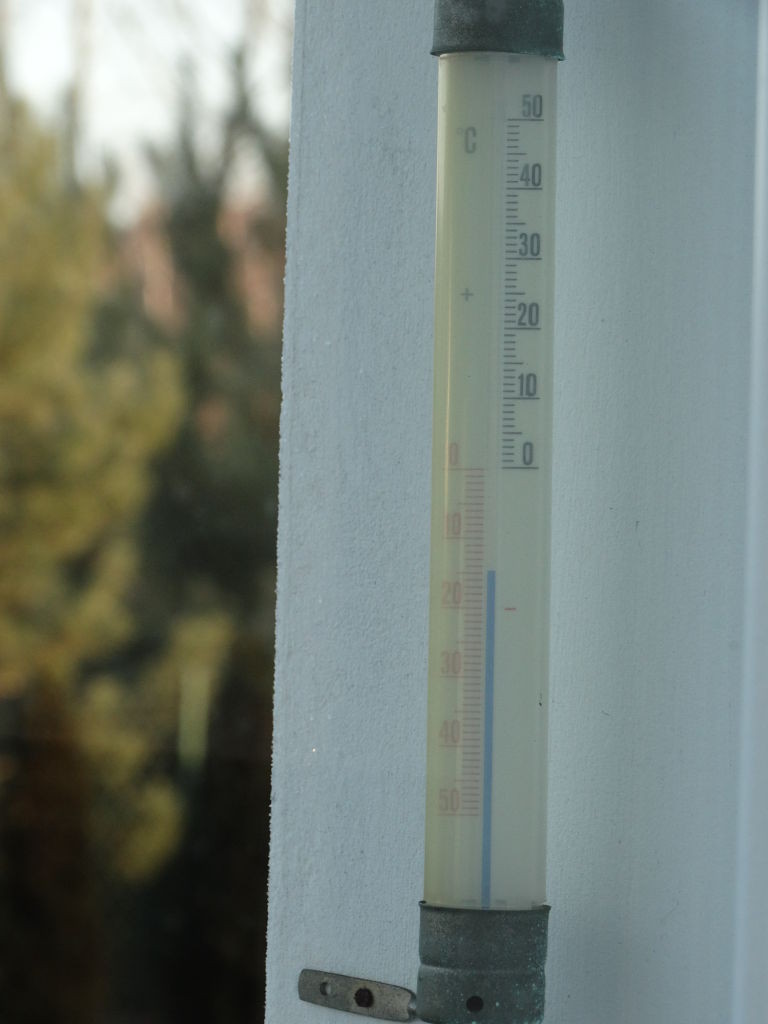 przymrozki, oziminy, temperatura, stan upraw