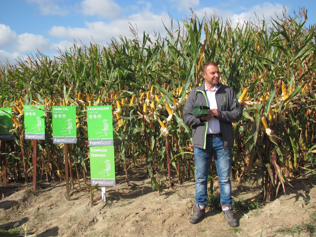 odmiany kukurydzy, badania, Farm Saat AG
