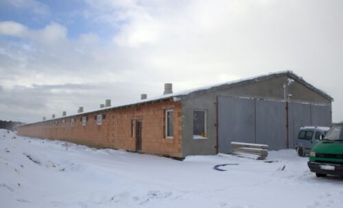 tuczarnia, żywienie na mokro