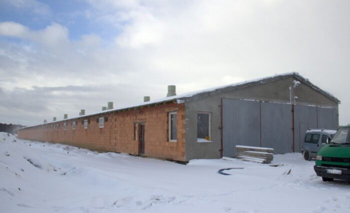 tuczarnia, żywienie na mokro