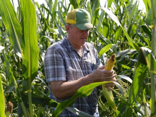 utworzenie strefy wolnego handlu, umowa ttip, Instytut Globalnej Odpowiedzialności