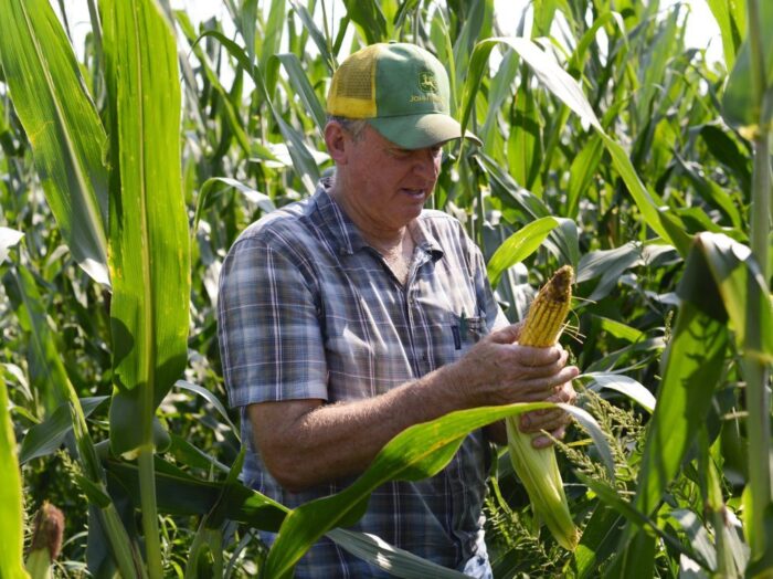 utworzenie strefy wolnego handlu, umowa ttip, Instytut Globalnej Odpowiedzialności