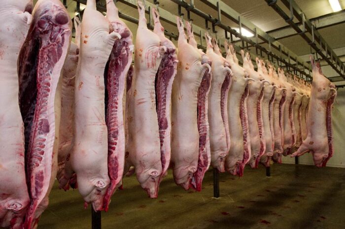 wieprzowina, przechowywanie, dopłaty