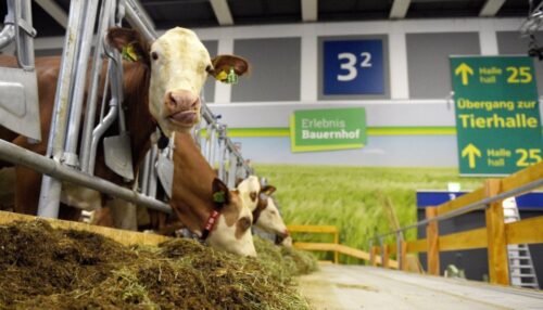 Die Internationale Gruene Woche, zielony tydzień w berlinie, targi rolnicze