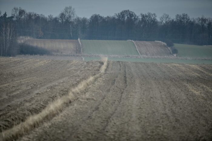 Polska Akademia Nauk i Centrum Analiz Klubu Jagiellońskiego, adam zieliński, ochrona ziemi